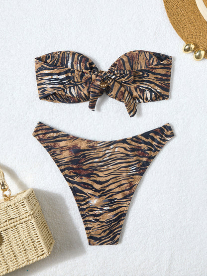 Striped Two-Piece Bikini Swimsuit